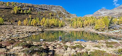Wanderung der Naturfreunde - Winklerner Almsee