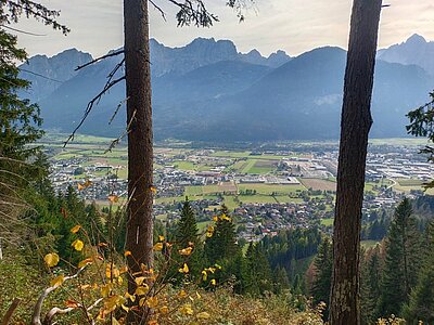 25. Seniorenwanderung der Naturfreunde - Jaggler Kreuz-Runde