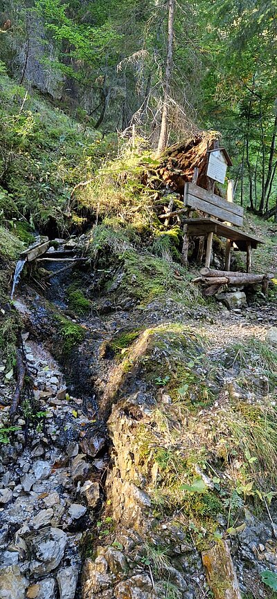 Wanderung der Naturfreunde - Samsteig