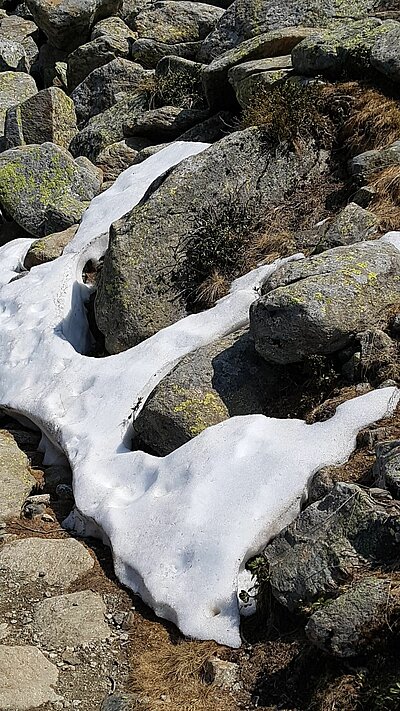 Sonntagswanderung der Naturfreunde - Hochschoberhütte