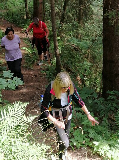 21. Seniorenwanderung der Naturfreunde - Zick-Zack-Steig