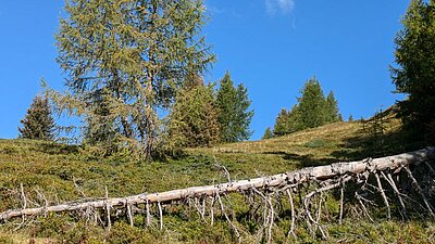 Wanderung der Naturfreunde - Böses Weibele und Hochstein Rundwanderung