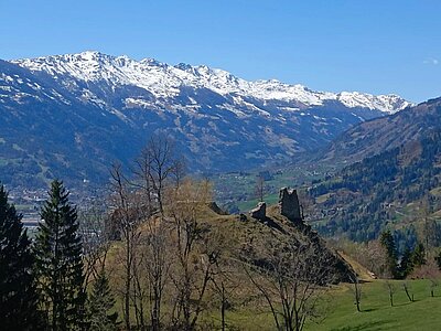 Wanderung der Naturfreunde - Ruine Walchenstein