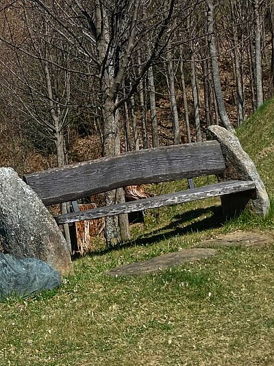 Wanderung der Naturfreunde - Ruine Walchenstein