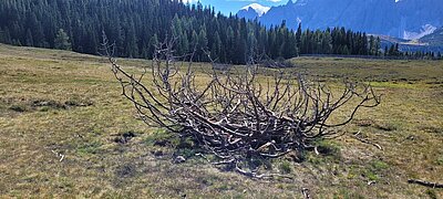 18. Seniorenwanderung der Naturfreunde 2022 - Nemes Alm Rundwanderung