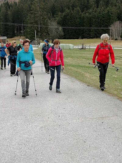 Frühlingswanderung der Naturfreunde am Iselsberg