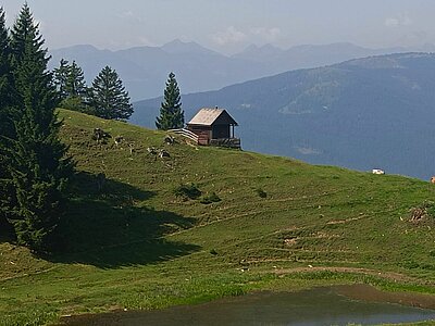 Wanderung der Naturfreunde - Kohlröslhütte 1534m