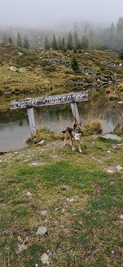 Wanderung der Naturfreunde - Leppner Alm