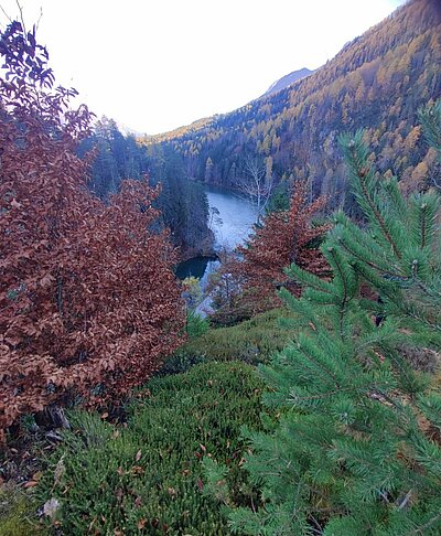 Wanderung der Naturfreunde - Tristachersee und Alter See Runde