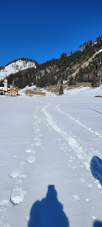 Schneeschuhwanderung der Naturfreunde in Obertilliach