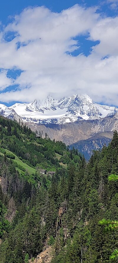 Wanderung der Naturfreunde - Oblasser Stausee