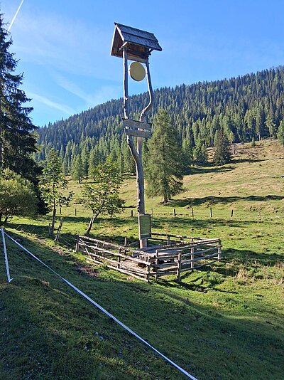 Wanderung der Naturfreunde - Egger Alm in Hermagor