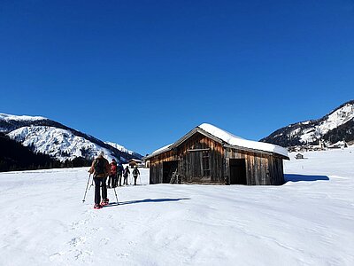 Schneeschuhwanderung der Naturfreunde in Obertilliach