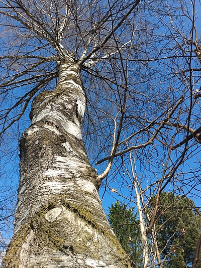 Wanderung der Naturfreunde - Oberlienz