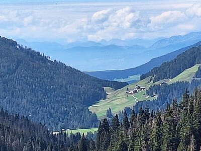Wanderung der Naturfreunde - Silvesteralm