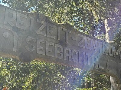 Sonntagswanderung der Naturfreunde - Stappitzersee und Schwussnerhütte