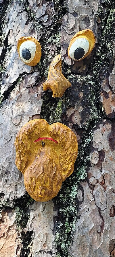 Wanderung der Naturfreunde - Rauchkofel