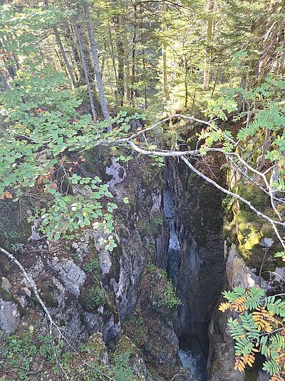 Wanderung der Naturfreunde - Samsteig