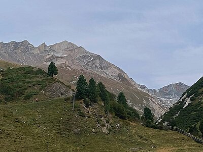 Wanderung der Naturfreunde - Jagdhausalmen und Pfauenauge