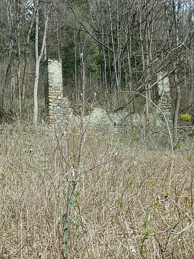 2. Seniorenwanderung der Naturfreunde - Nußdorf-Gaimberg-Runde