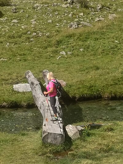 Wanderung der Naturfreunde - Trojeralm