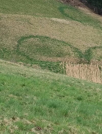 2. Seniorenwanderung der Naturfreunde - Nußdorf-Gaimberg-Runde