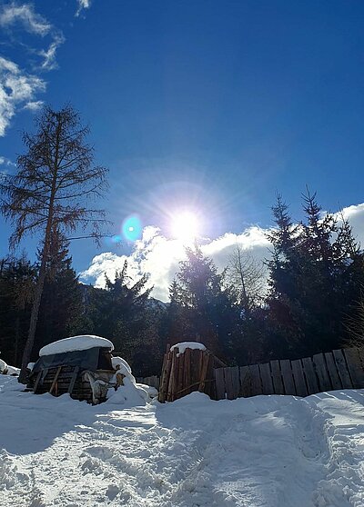 Rodeln der Naturfreunde - Würfelehütte