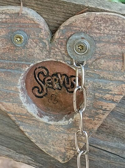 Wanderung der Naturfreunde - Ruine Walchenstein