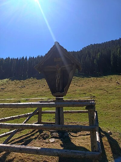 Wanderung der Naturfreunde - Egger Alm in Hermagor