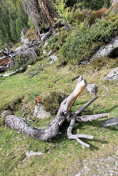 17. Seniorenwanderung der Naturfreunde 2022 - Lienzer Hütte