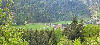 Wanderung der Naturfreunde - Danielsberg