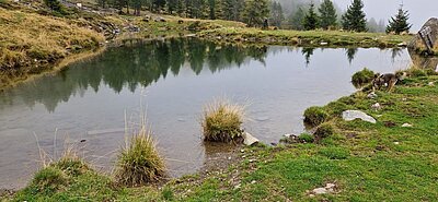 Wanderung der Naturfreunde - Leppner Alm