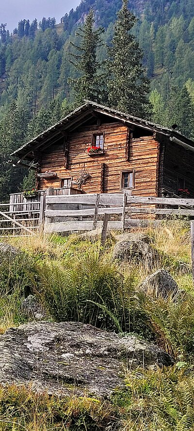 17. Seniorenwanderung der Naturfreunde 2022 - Lienzer Hütte