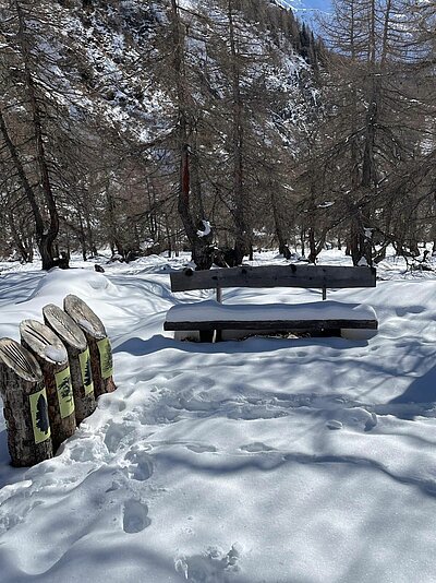 Schneeschuhwanderung der Naturfreunde in Kals