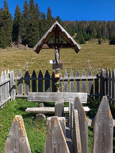 Wanderung der Naturfreunde - Silvesteralm