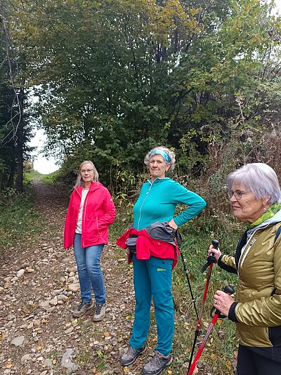 Naturfreunde - Wanderung Schöne Aussicht