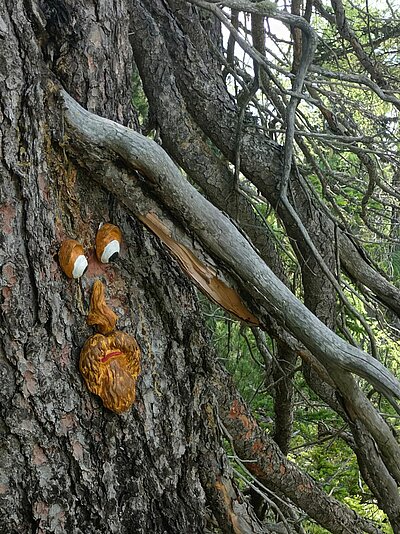 Wanderung der Naturfreunde - Rauchkofel