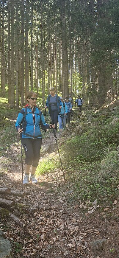 Wanderung der Naturfreunde - Speicherteich Moosalm