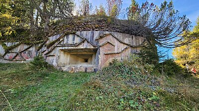 Wanderung der Naturfreunde - Nemes Alm