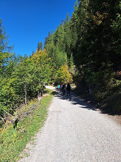 Wanderung der Naturfreunde - Samsteig