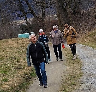 Wanderung der Naturfreunde - Sonnseitenwanderung (Patriasdorf-Oberdrum-Lienz)