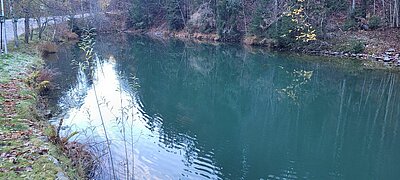 Wanderung der Naturfreunde - Tristachersee und Alter See Runde