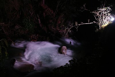 16. Seniorenwanderung der Naturfreunde 2022 - Groppensteinschlucht Obervellach bei Nacht