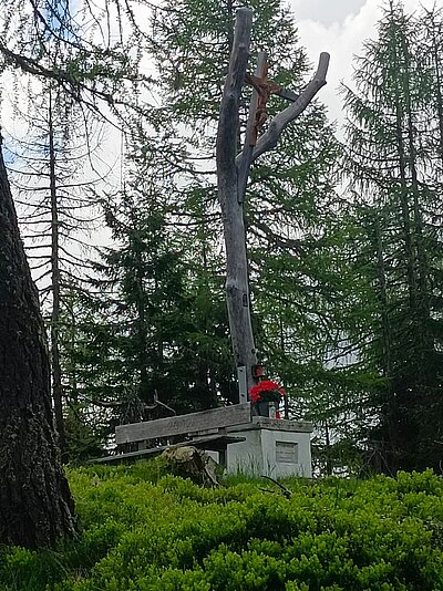 10. Seniorenwanderung der Naturfreunde - Winklerner Hütte