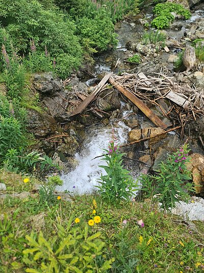 Wanderung der Naturfreunde - Porzehütte