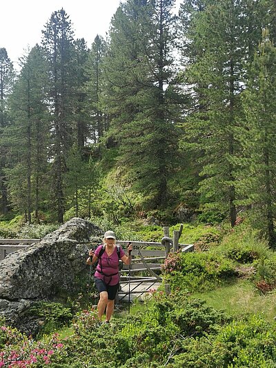 Wanderung der Naturfreunde - Lienzer Hütte