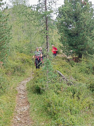 18. Seniorenwanderung der Naturfreunde - Thurntaler Runde