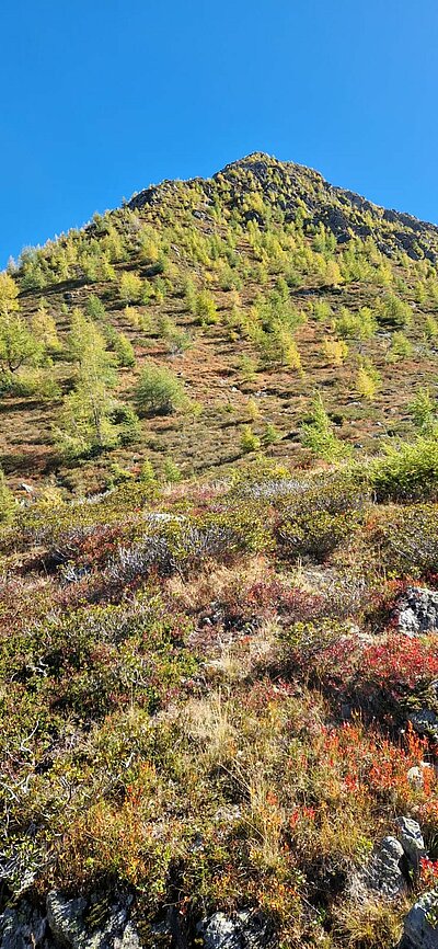 24. Seniorenwanderung der Naturfreunde - Zunigalm