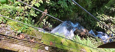 Naturfreunde-Ausflug zur Barbarossaschlucht Mühldorf