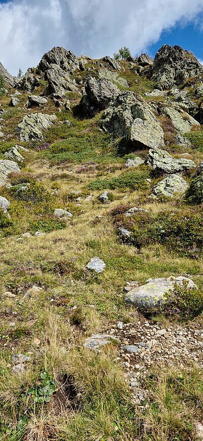 18. Seniorenwanderung der Naturfreunde - Thurntaler Runde